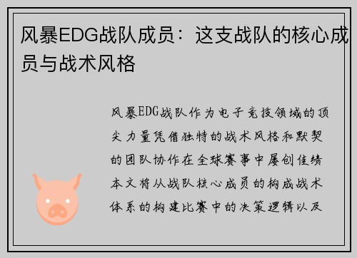 风暴EDG战队成员：这支战队的核心成员与战术风格