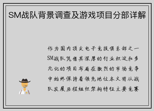 SM战队背景调查及游戏项目分部详解